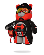 SKY HIGH SEEKERS ARCTIC GPS MONEYBEAR BACKPACK