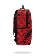 DIVIDE & CONQUER BACKPACK