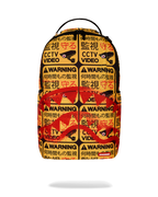 CCTV SECTOR 404 BACKPACK