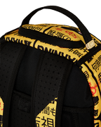 CCTV SECTOR 404 BACKPACK
