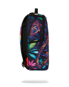 EARTHING DLXR BACKPACK